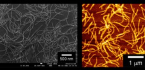 Advanced technique for fabrication of fullerene nanowires 
