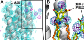 Technology for quick 3D structure determination of membrane proteins developed