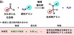 Approaching an Ideal Amino Acid Synthesis Using Hydrogen 