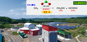 Commercial production of methanol using biogas obtained from animal manures