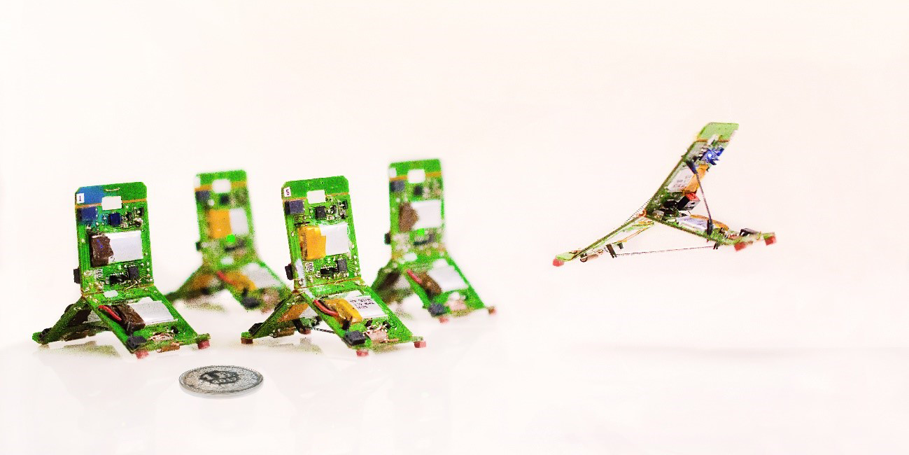 Designing minimal and scalable insect-inspired multi-locomotion millirobots