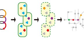 微生物の代謝経路をシンプルかつ合理的にデザイン！
