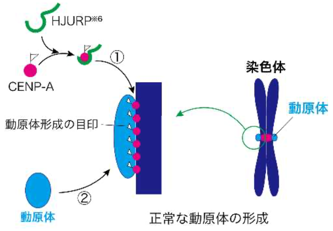 20201118_3.jpg