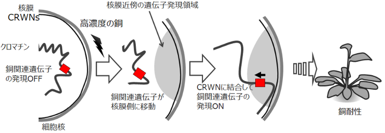20201120_2.jpg