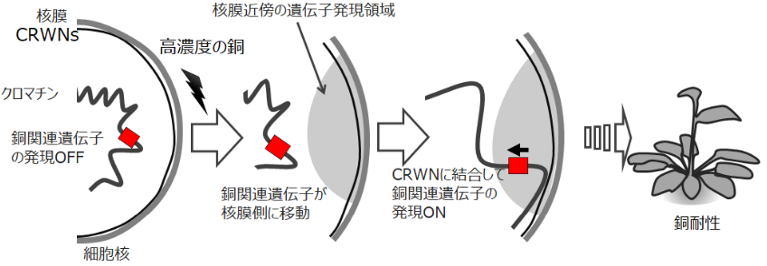 20201120_2.jpg