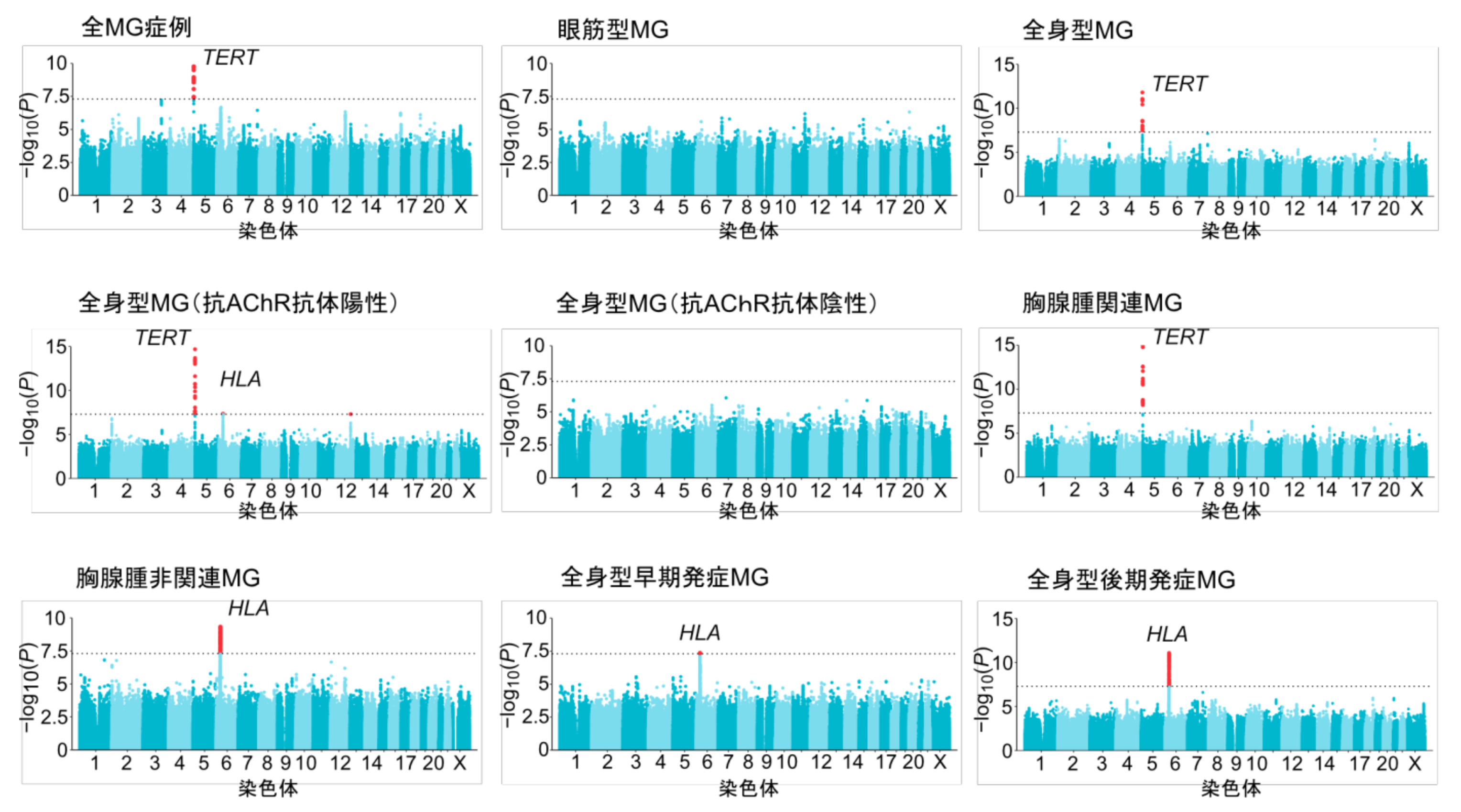 image (1).png