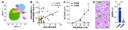 image (1).png