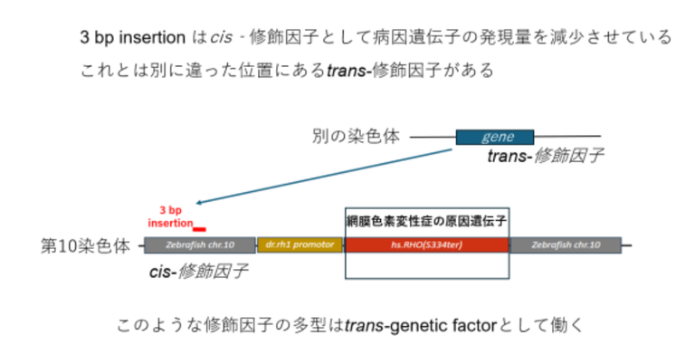 image (2).png