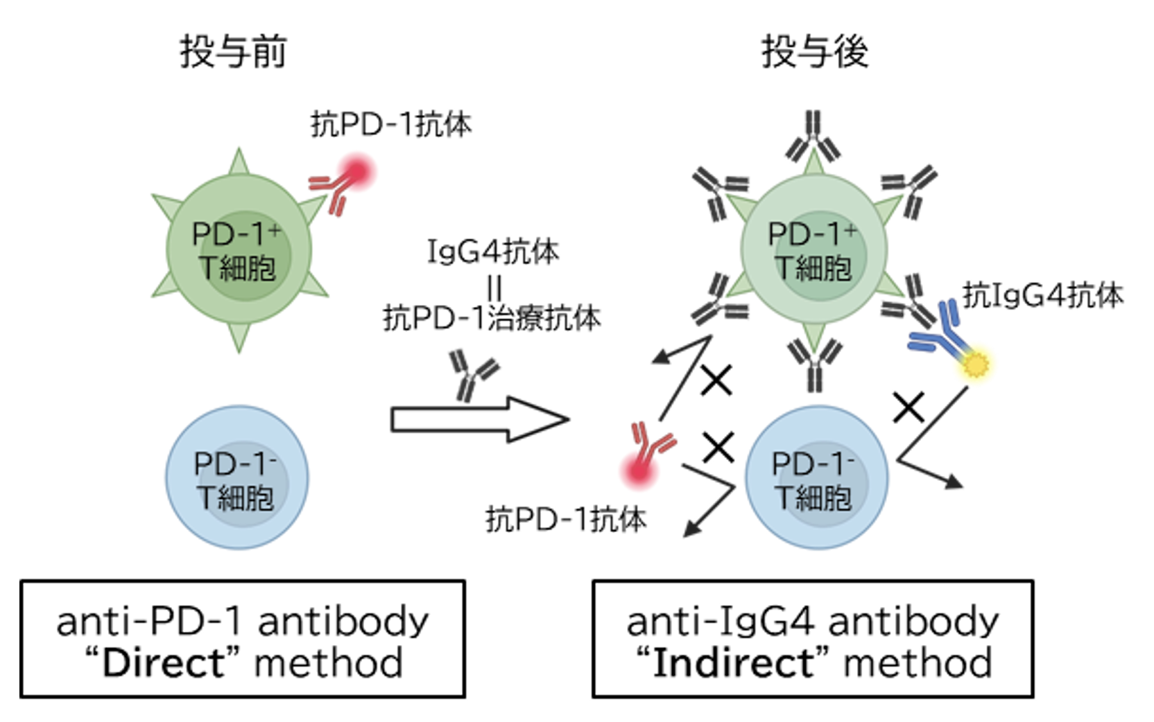 image (3).png