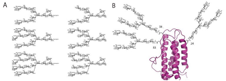 20160116 figure A+B.jpg
