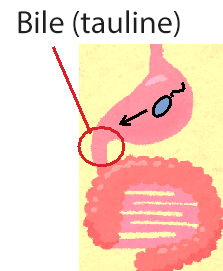 20160216 fig 1-1.png