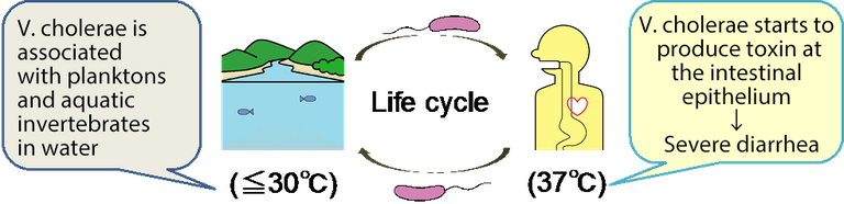 20160216 fig 1-2.png