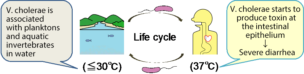 20160216 fig 1-2.png