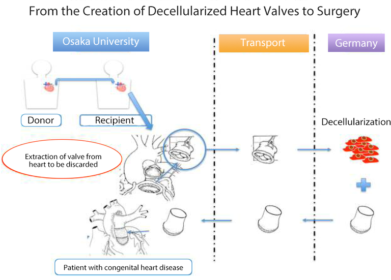 20160531_1_fig1 English.png