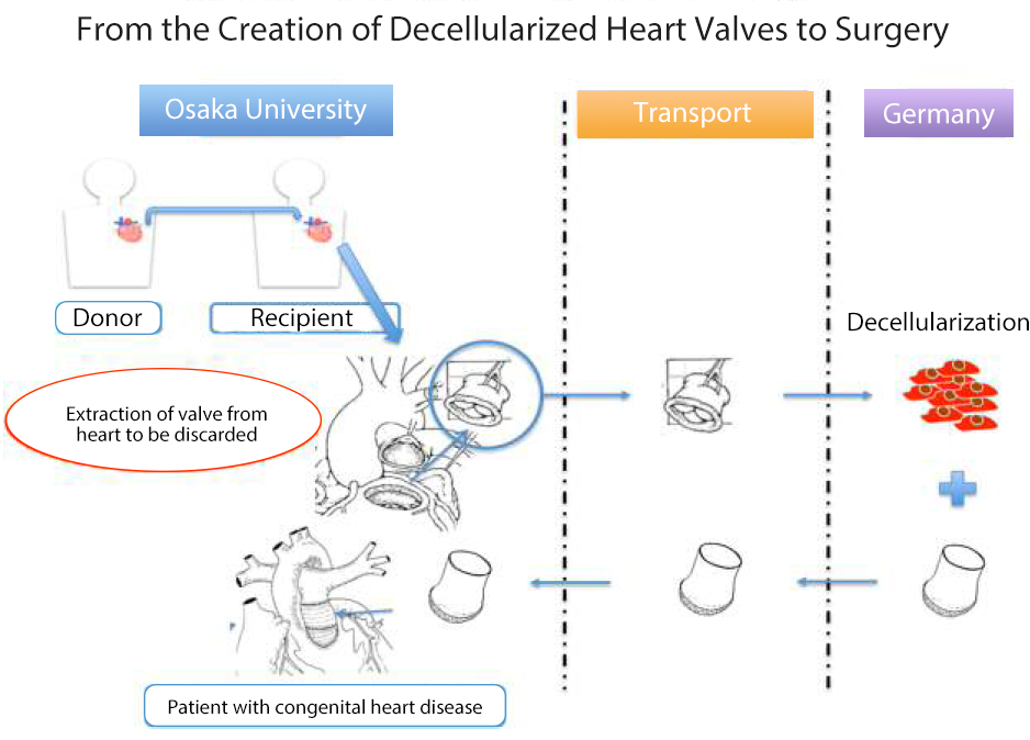 20160531_1_fig1 English.png
