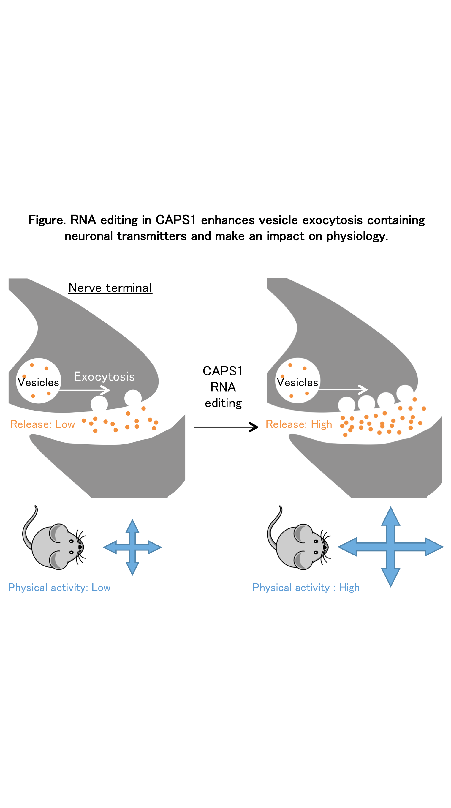 20161116_1 fig 1.png