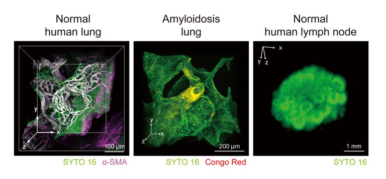20170830_2 fig 2.jpg