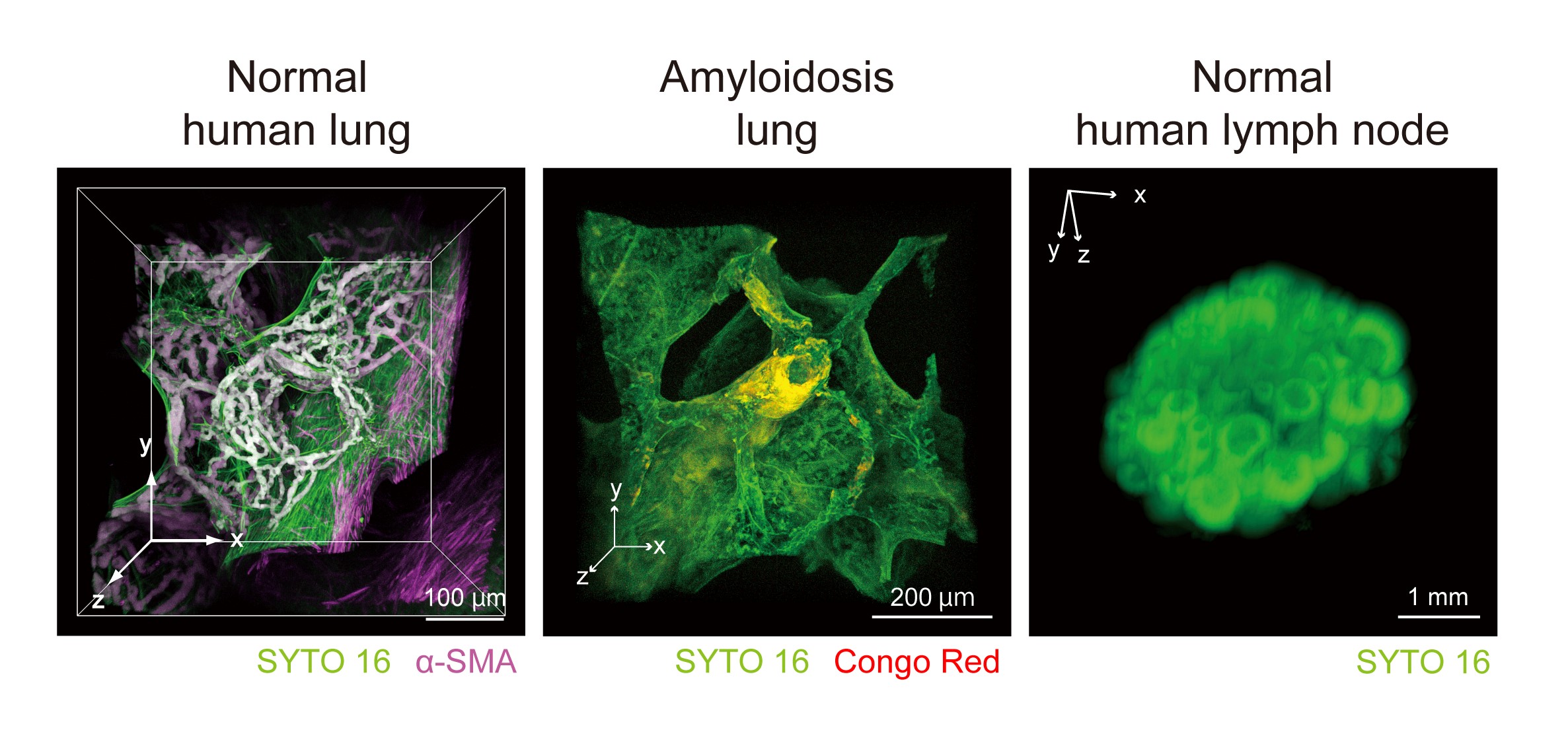 20170830_2 fig 2.jpg