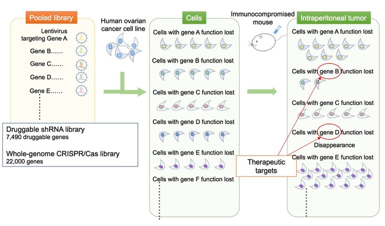 20170919_2 fig 1.jpg