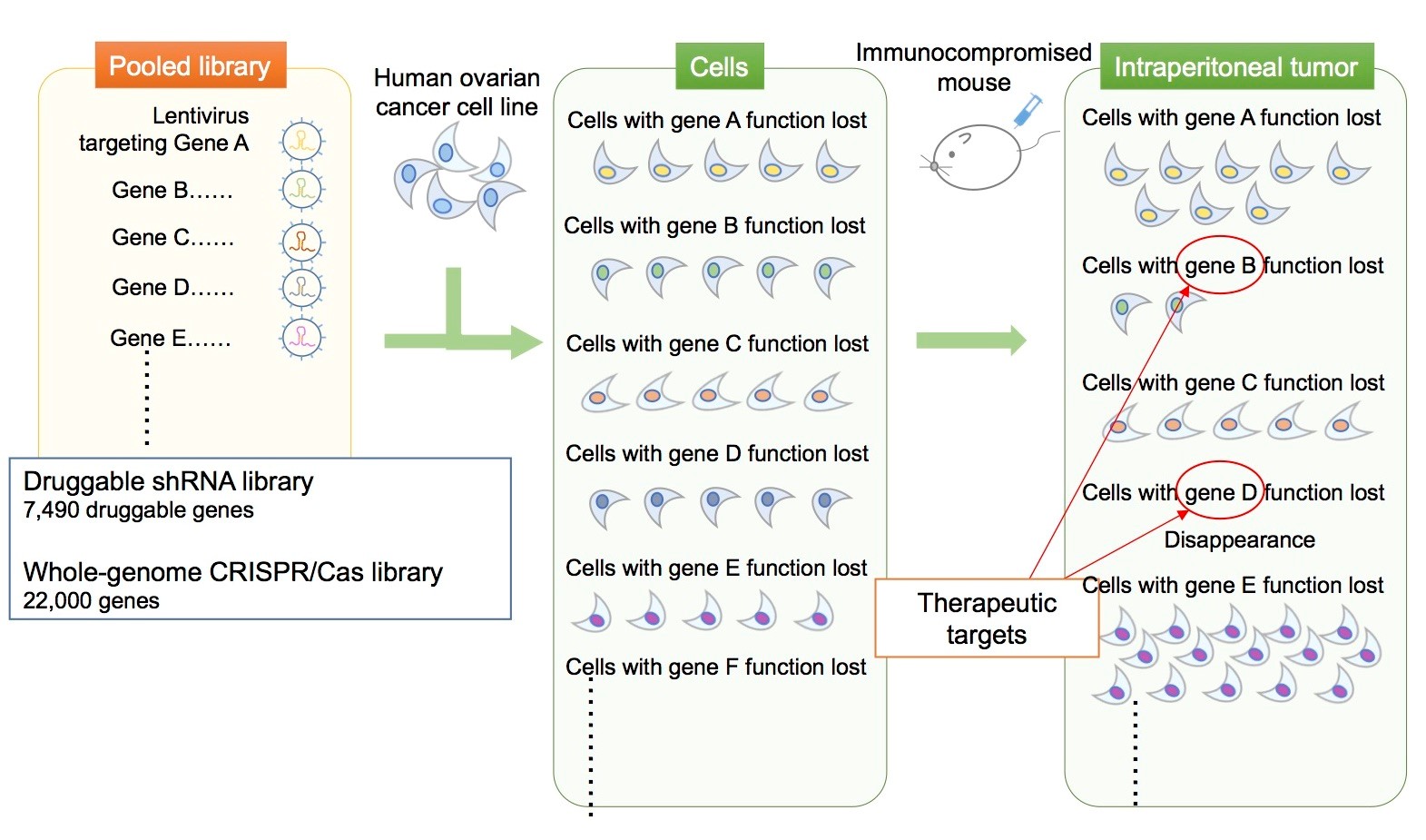 20170919_2 fig 1.jpg