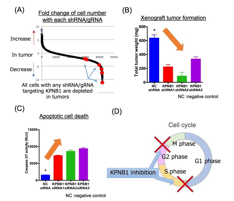 20170919_2 fig 2.jpg