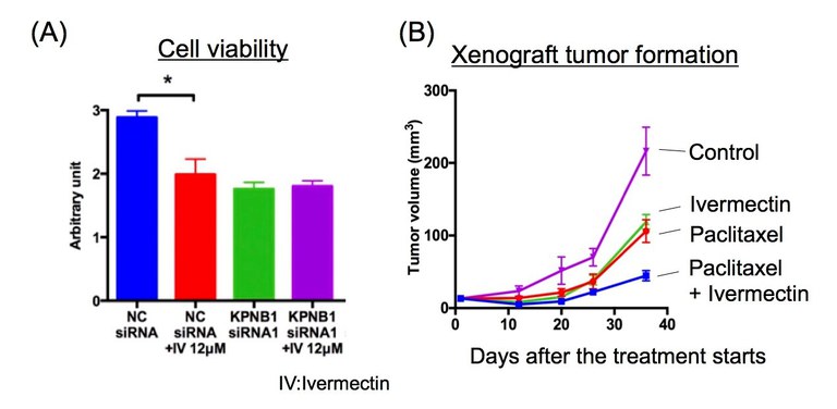20170919_2 fig 3.jpg