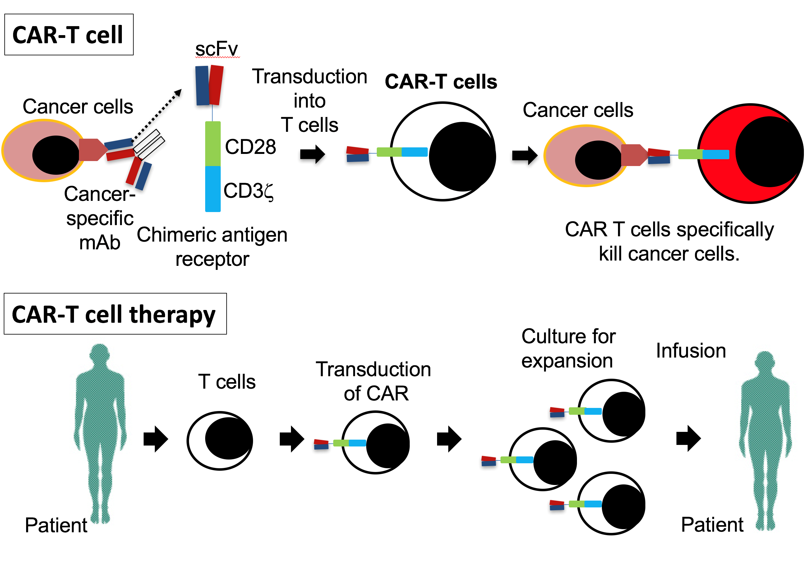 20171107_3 fig 2.png
