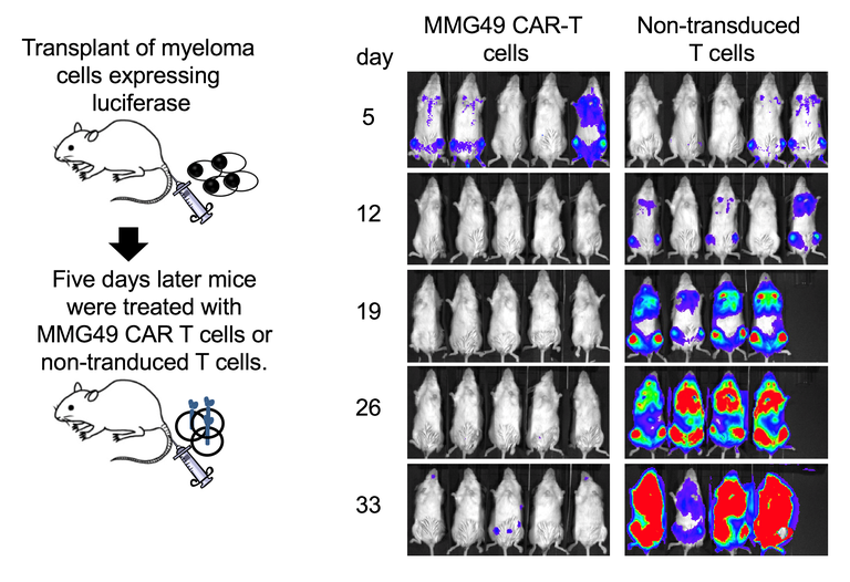 20171107_3 fig 3.png