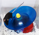 mouse exercising