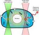 Photoreduction of aqueous gold solution by targeted laser beam