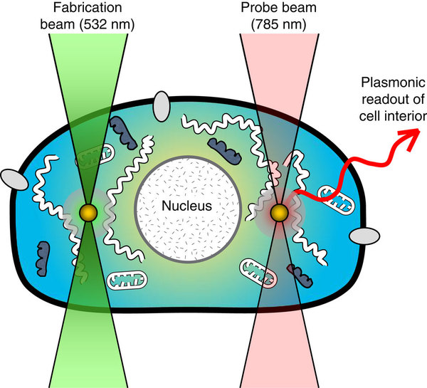 Photoreduction of aqueous gold solution by targeted laser beam