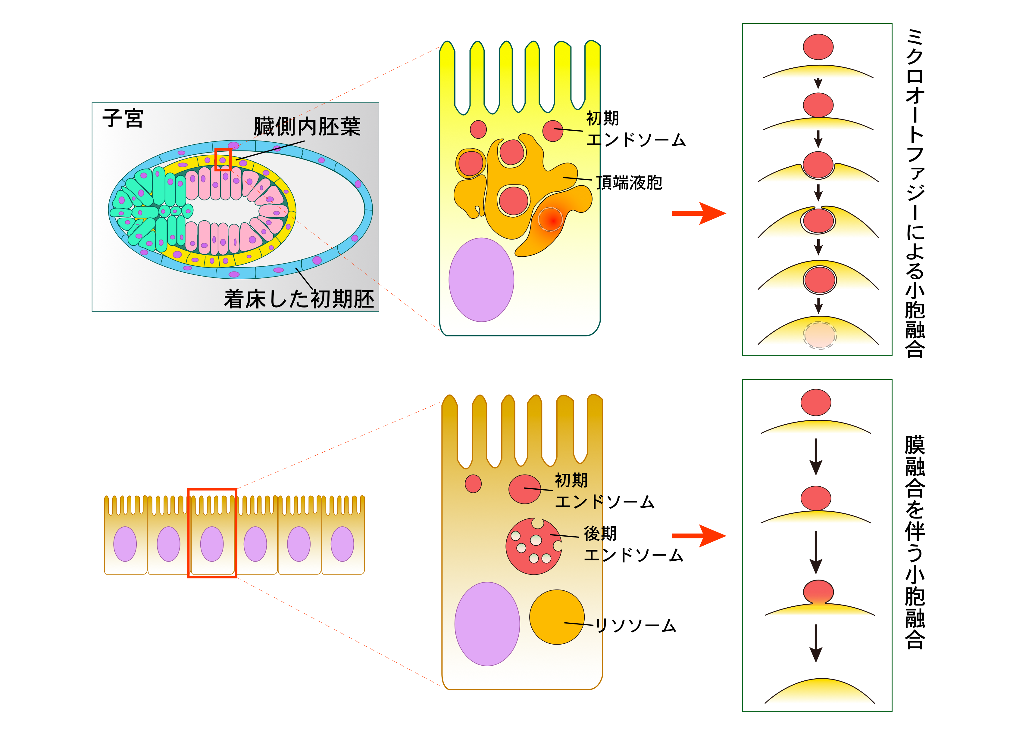 20120919_1_fig1.png