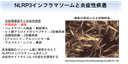 20130318_1_fig1.png