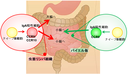 20140410_1_fig0.png