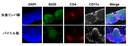 20140410_1_fig1.png