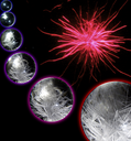 20140422_1_fig0.png