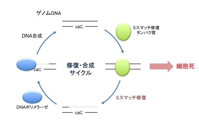 20140609_1_fig1.png