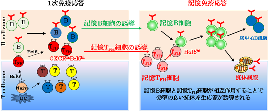 20140729_1_fig1.png