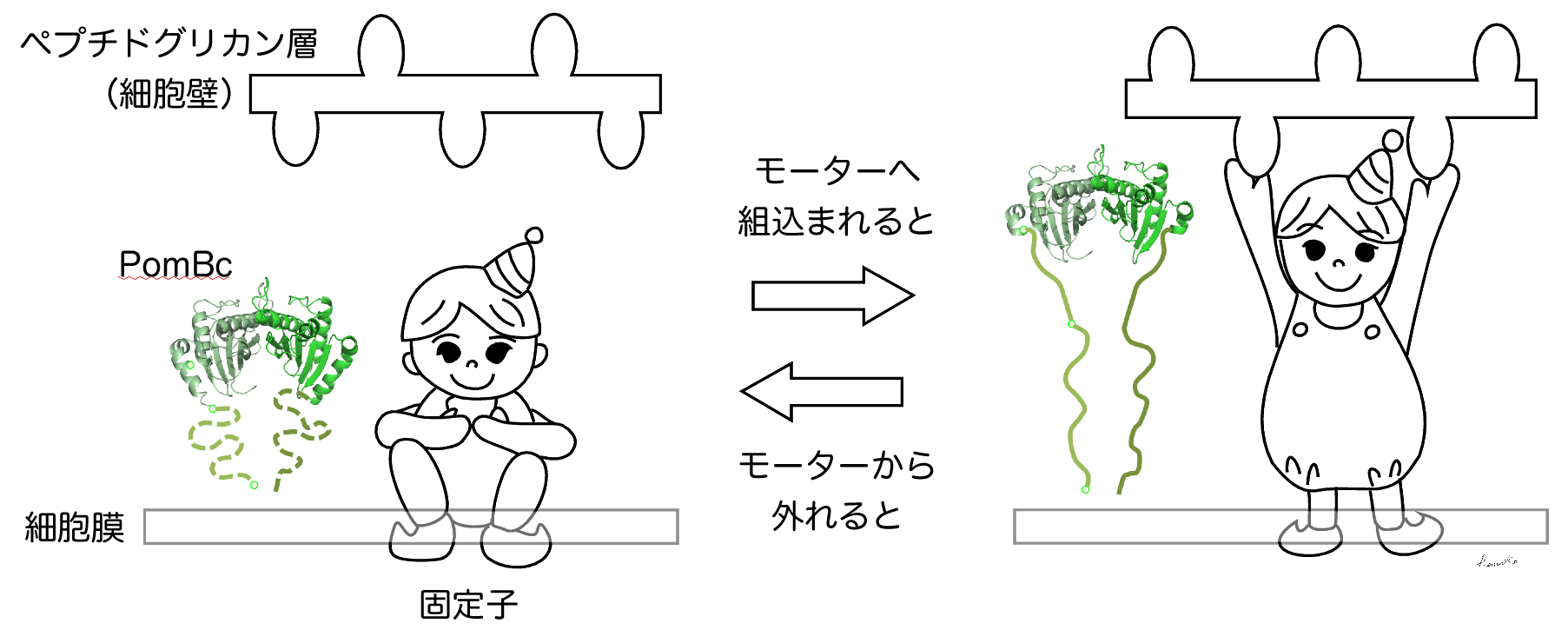 20140901_1_fig1.png