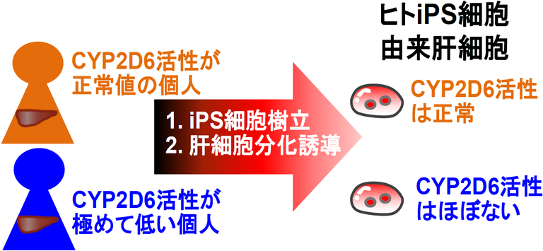 20141111_2_fig2.PNG