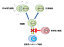 20141219_1_fig1.png