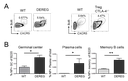 20141219_1_fig2.png
