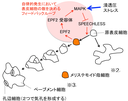 20141226_1_fig1.PNG