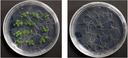 20141226_1_fig2.PNG