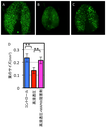 20141226_1_fig3.png