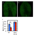 20141226_1_fig4.png