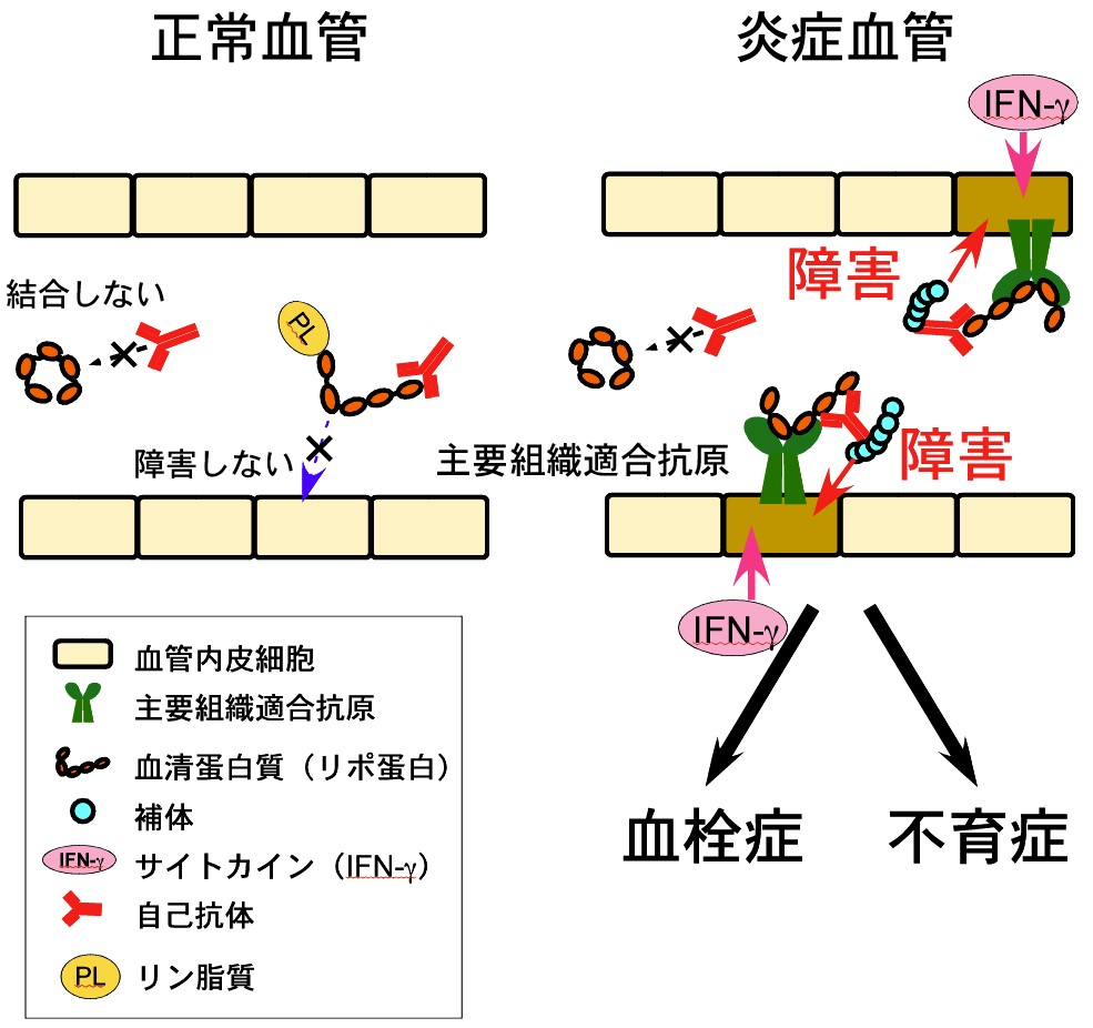 20150303_1_fig5.jpg