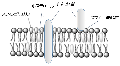 20150331_1_fig3.png