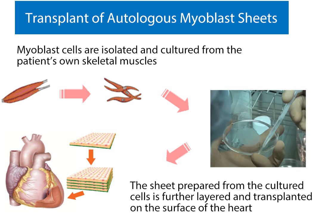 02150820_1_fig1 English