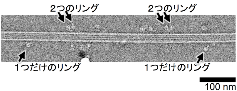 20150914_1_fig2.png